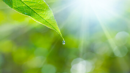 Environmental